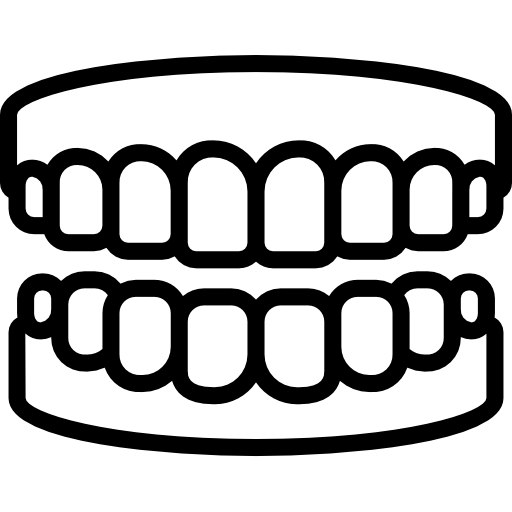 Protetyka